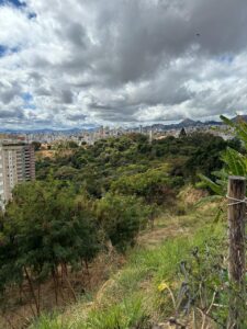 Foto do bairro Luxemburgo